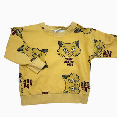 Pull jaune chats 3-4Y