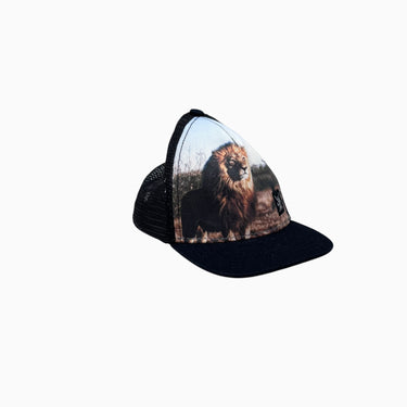Casquette noire 'lion' 6-24M