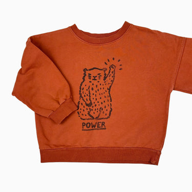 Pull rouille 'power' 6Y
