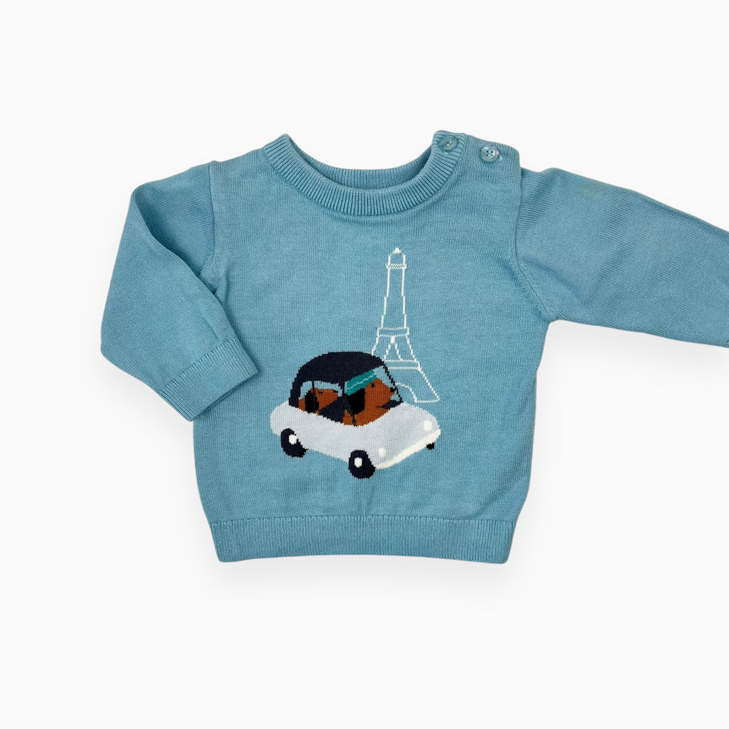 Pull bleu ciel en tricot de coton chiens en voiture à Paris 6M