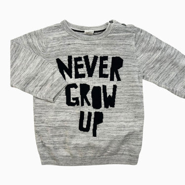 Pull gris chiné 'Never grow up' 12-18M