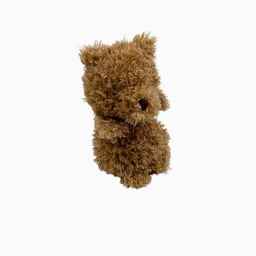 Peluche 'Petit Ours'